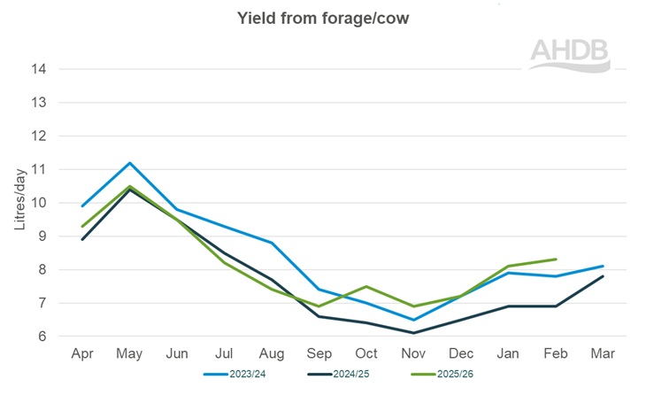 A line graph up to February 2026 detailing Kingshay yield from forage per cow graph last 3 years.
